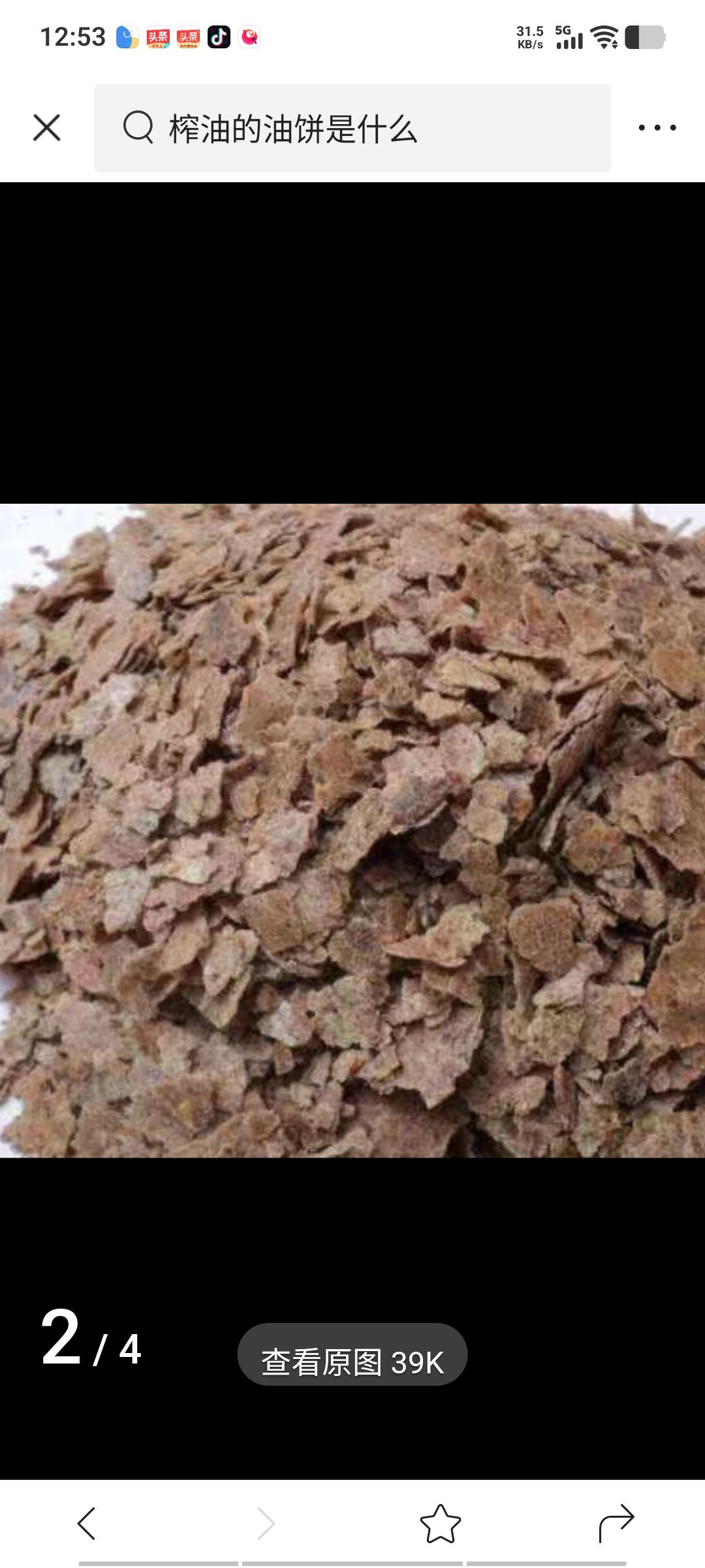 朋友种了一片菜地，用菜籽油饼作肥料，种出的菜又壮又绿，质量就是好，是天然的有机肥