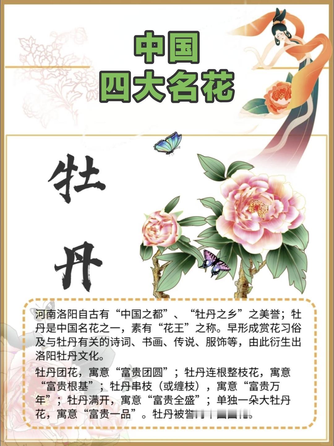 中国四大名花，牡丹、菊花、山茶花、水仙花，每一种都有其独特的魅力和深厚的文化内涵