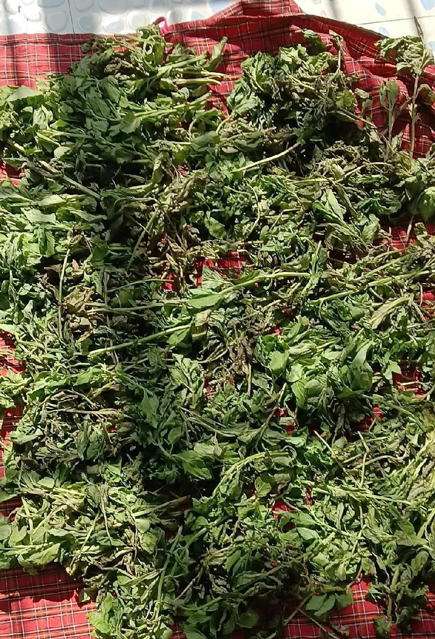 昨天早上8点多，大大给我打电话，我刚一接通，就听到大大说，“你妈要和你雪。”等