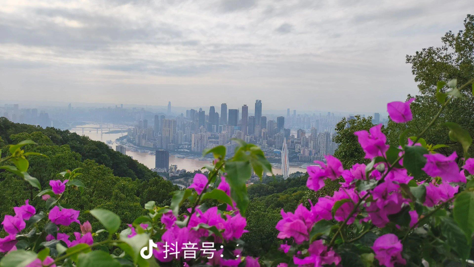 1941年，美国摄影记者在重庆南山拍到一名中国抗战女兵。85年后，她曾拚命坚守的