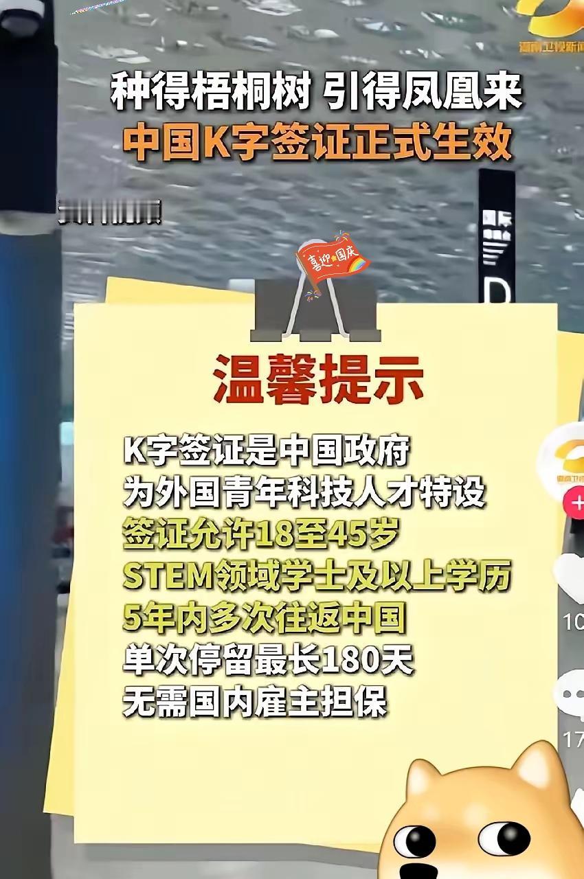 K签证引才别变“引水”！网友的担心真不是多余的K签证刚火起来，质疑声就跟