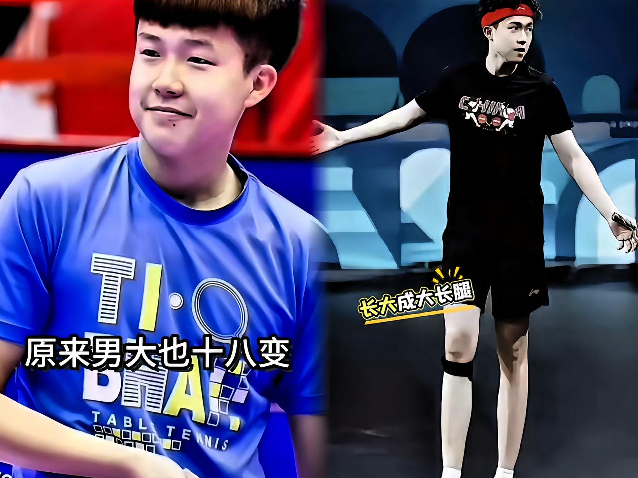 谁说只有女大十八变？咱们王楚钦这才是妥妥的“男大变形记”！当年带点婴儿肥的