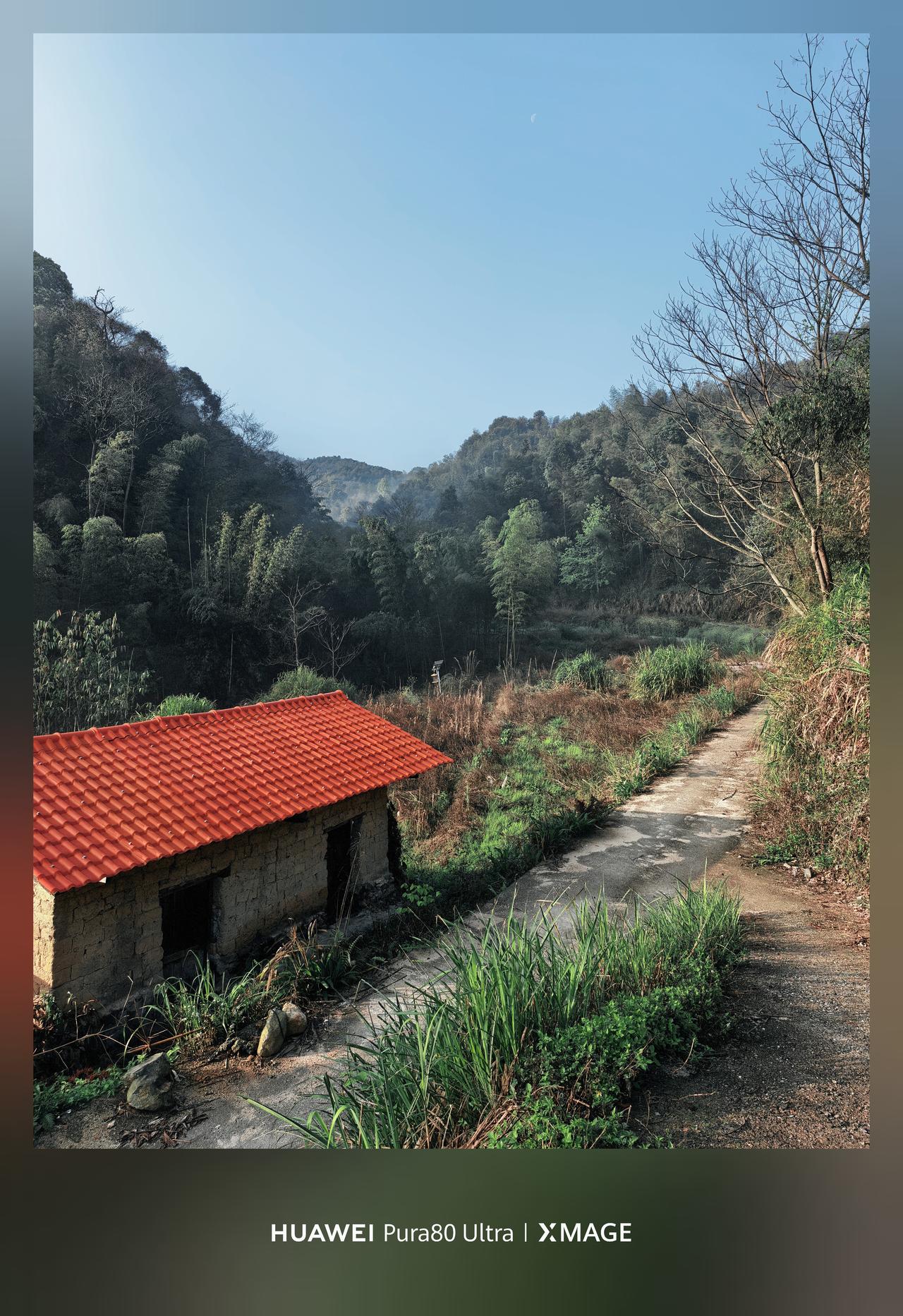 今早一看阳光明媚，竹林的雾气跟仙境似的，小红瓦屋这清澈，真的太好看了。这就是