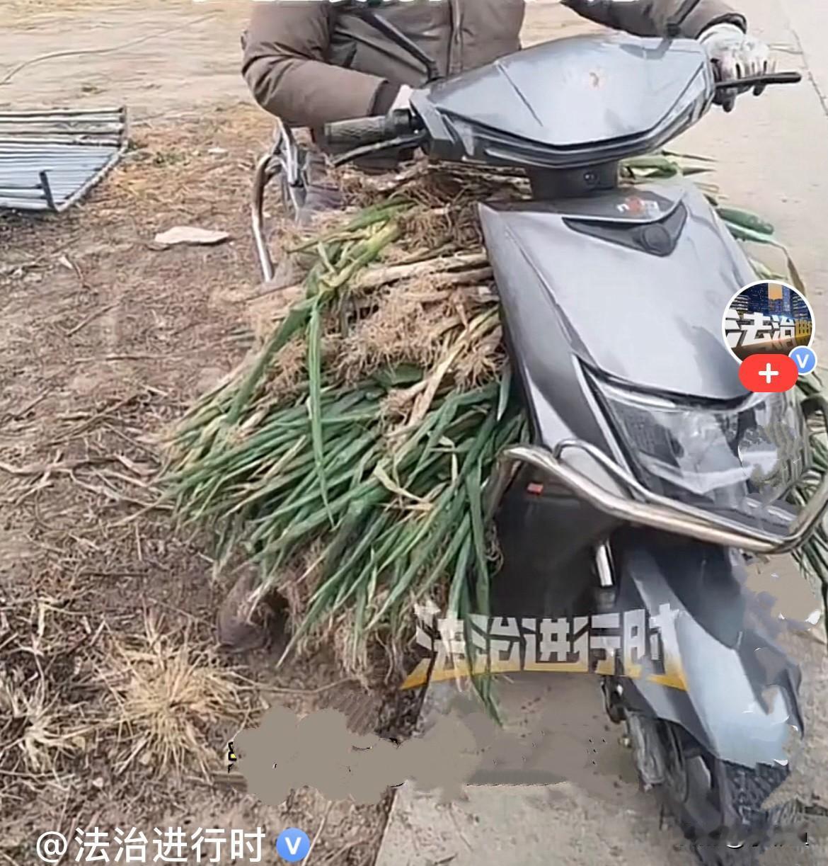 近日，江苏一男子骑着电动车去人家菜地里偷大葱，偷一次就行了呗，还总去偷，这次让主