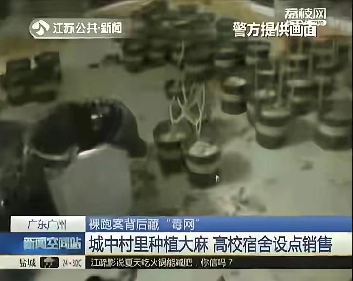 留学生把宿舍变毒窝、城中村种大麻？广州警方打掉的19人团伙，405名买家遍布