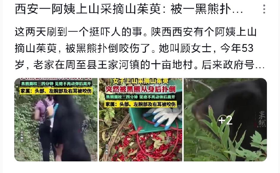 53岁的顾阿姨去山里摘山茱萸时，没等她反应过来，一个黑影就从背后扑了上来！对着她