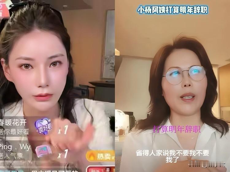 小杨阿姨宣布要辞职了。这个消息一出，大家都很意外，在汪家干了十几年，年薪丰厚，