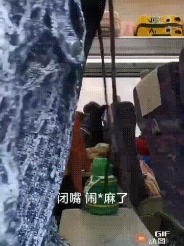 一辆高铁上，几个孩子被家长安排坐在一起，从上车后就开始吵闹，已经吵了十几分钟，但
