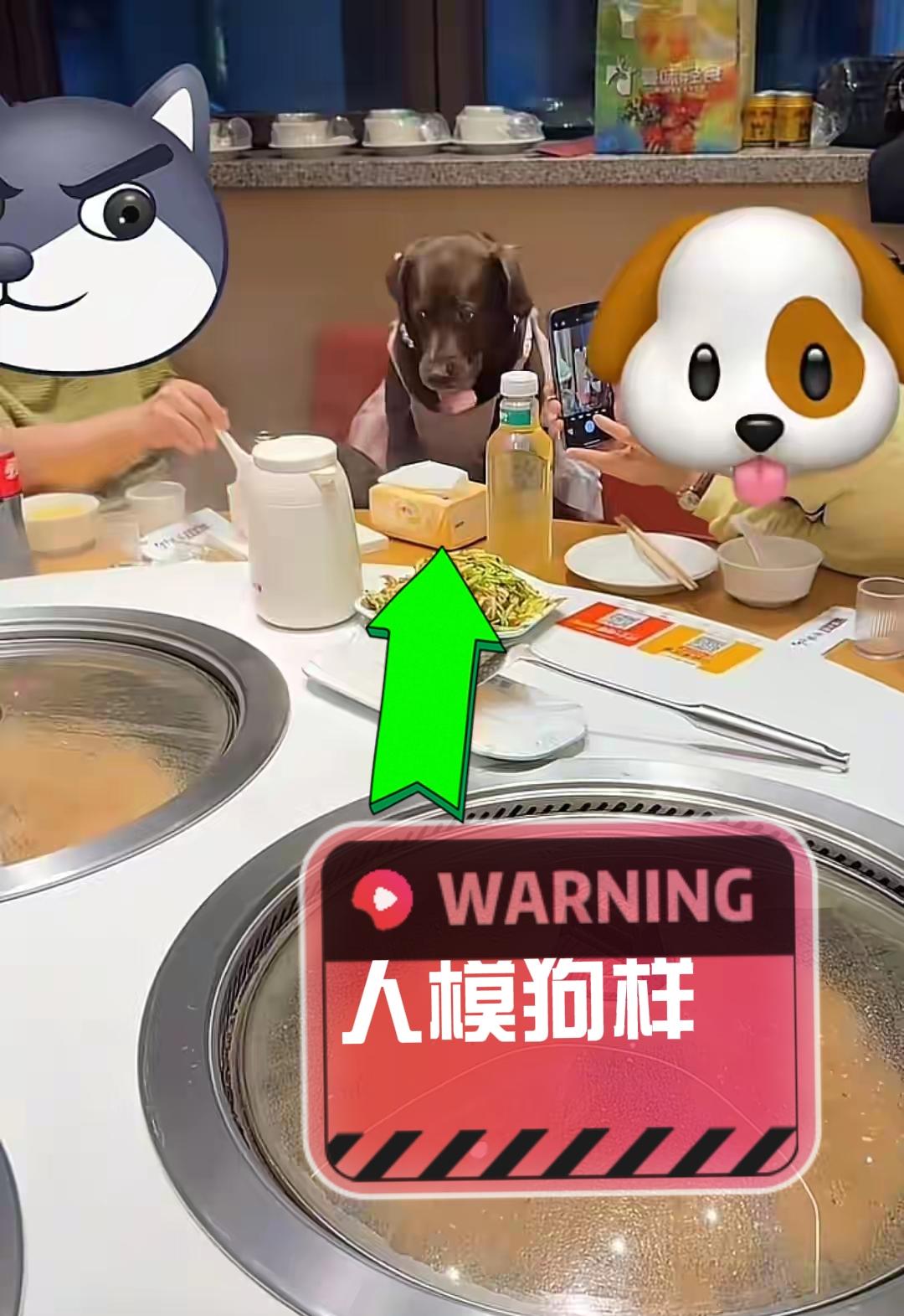 “缺大德了，太损了~”天津女子在铁锅炖饭店给狗庆生，拿勺喂蛋糕。饭店回应：顾客没