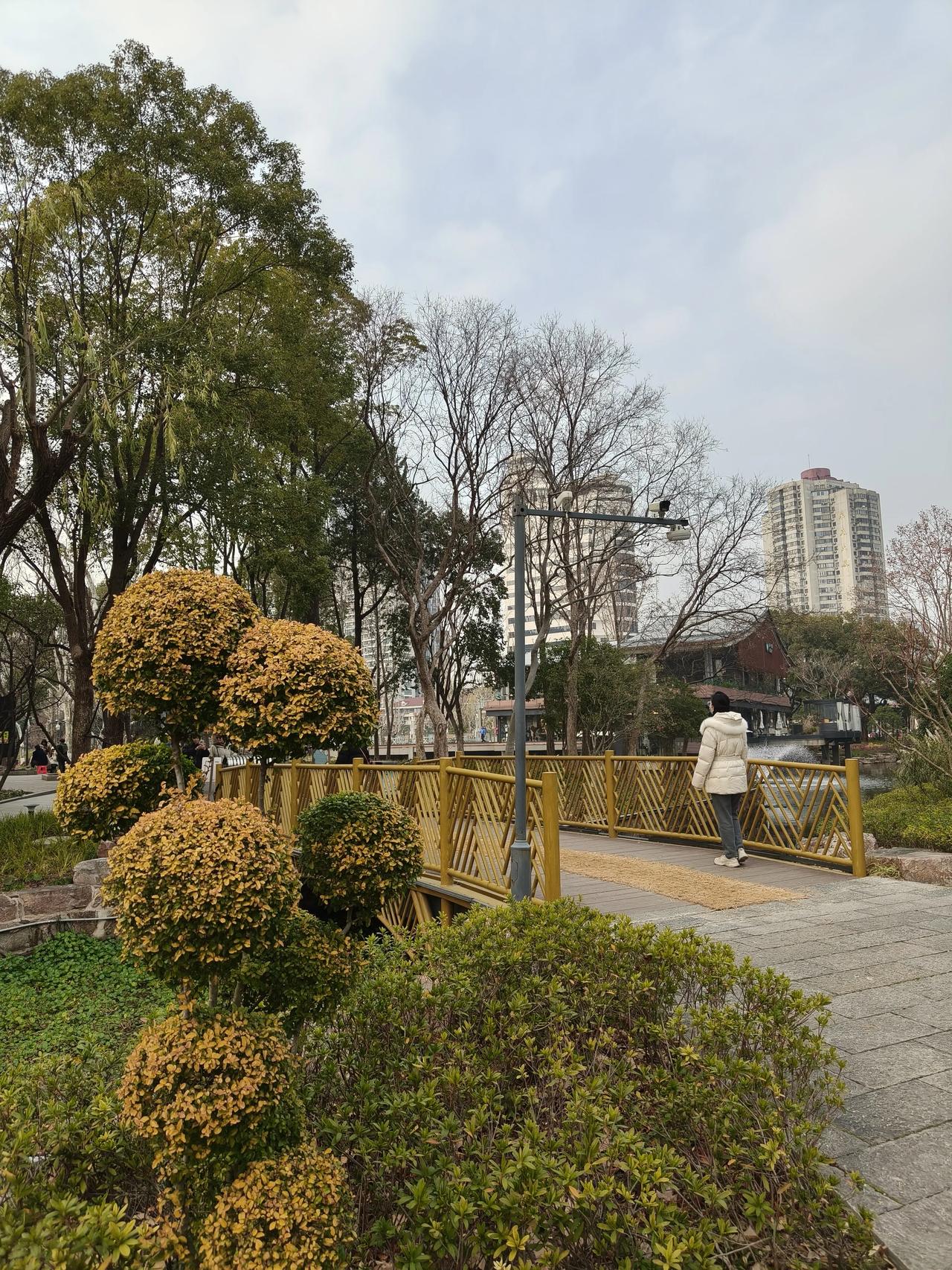 。和平公园散步🚶🏻‍♀️随手拍实景图分享！冬日美景随手拍分享！