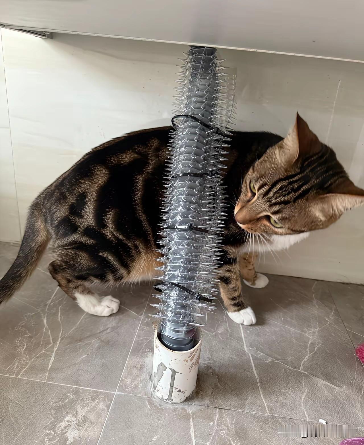 图一过分图二活该