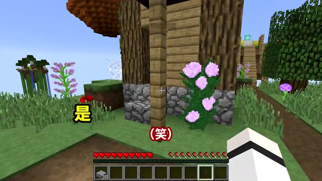 18367000060367706682.jpg?id=0