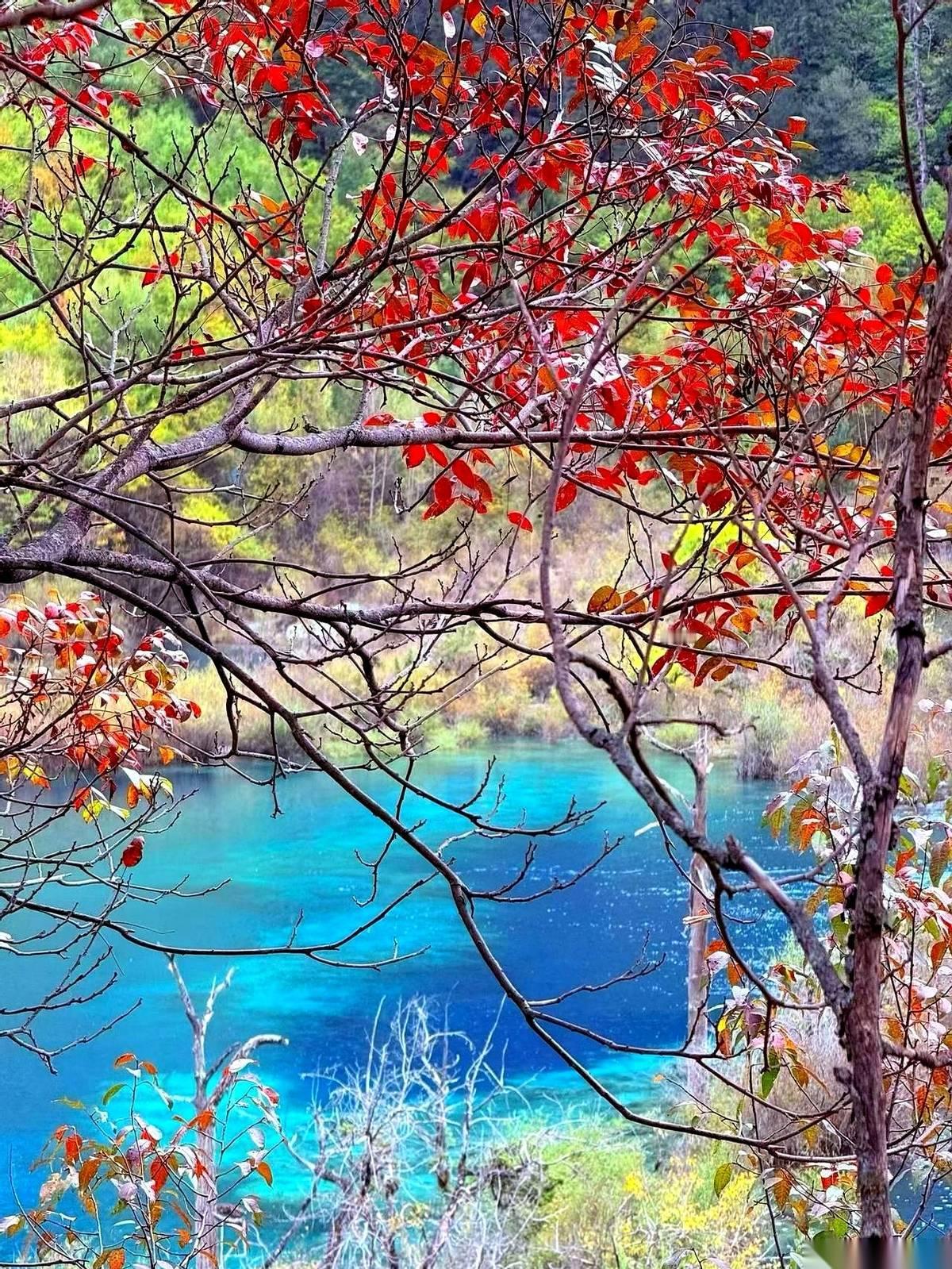 听说她请着化疗的假，还专门跑回学校，去争那个骨干教师的头衔。你敢信吗？一个46