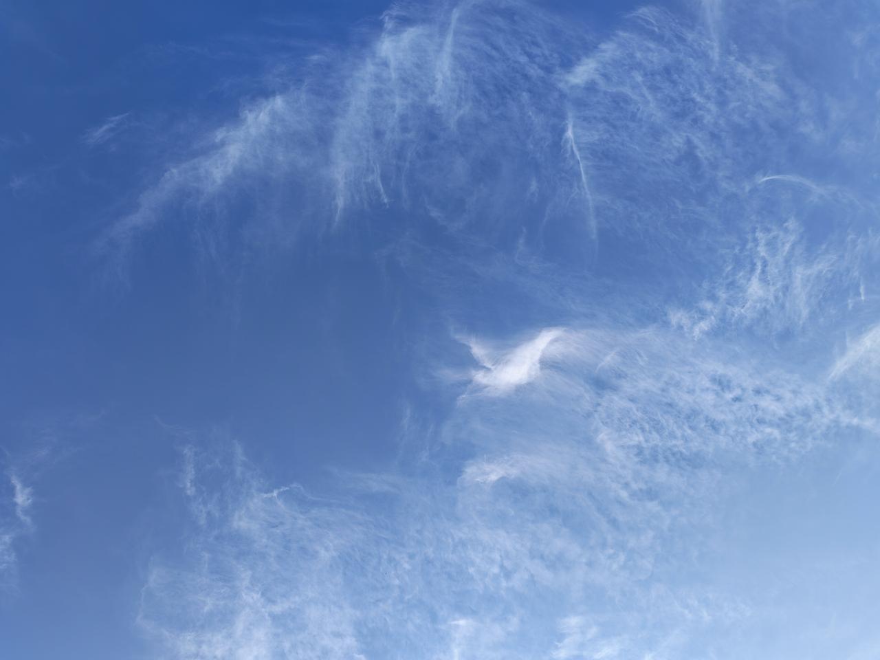 今年手机圈最大的新闻就是手机涨价如果新手机涨价我能理解，因为毕竟目前芯片存储价