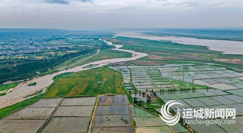 “优良”汾河水 在此入黄河