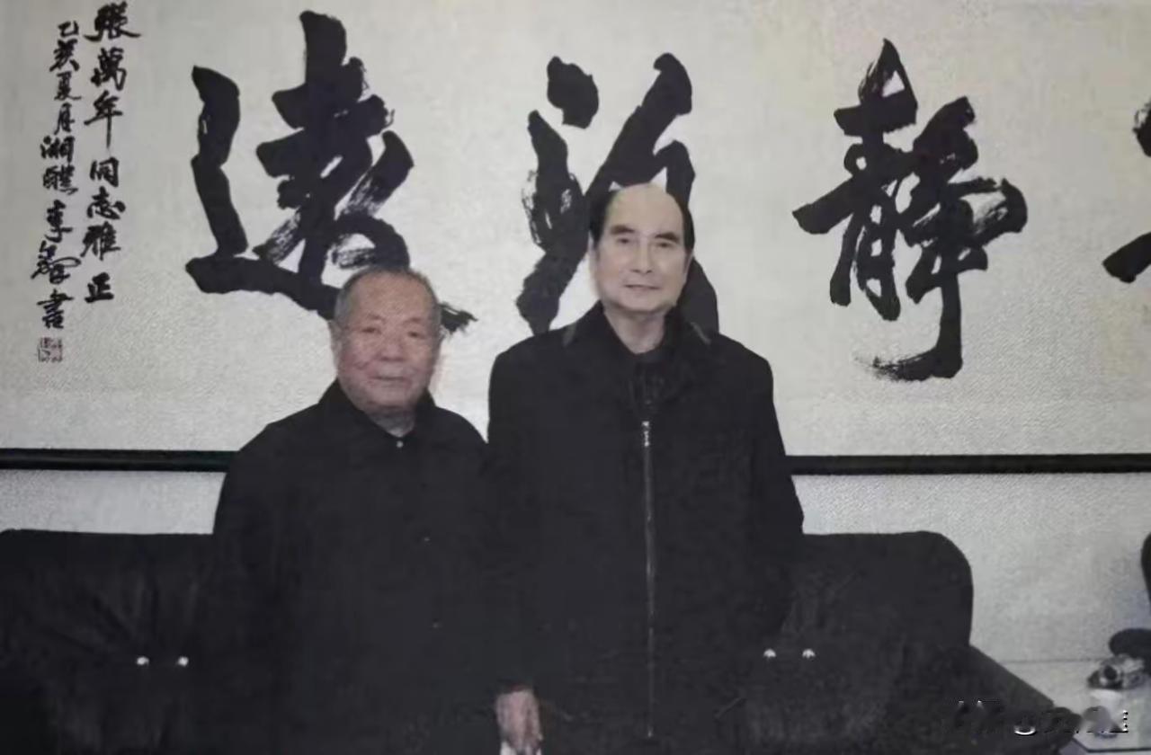 1991年3月，那天下大雪，济南军区司令员张万年却突然要去菏泽单县，寻找他当年的