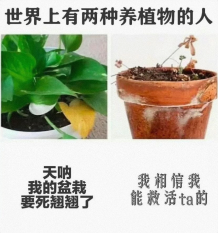 两种养植物的人