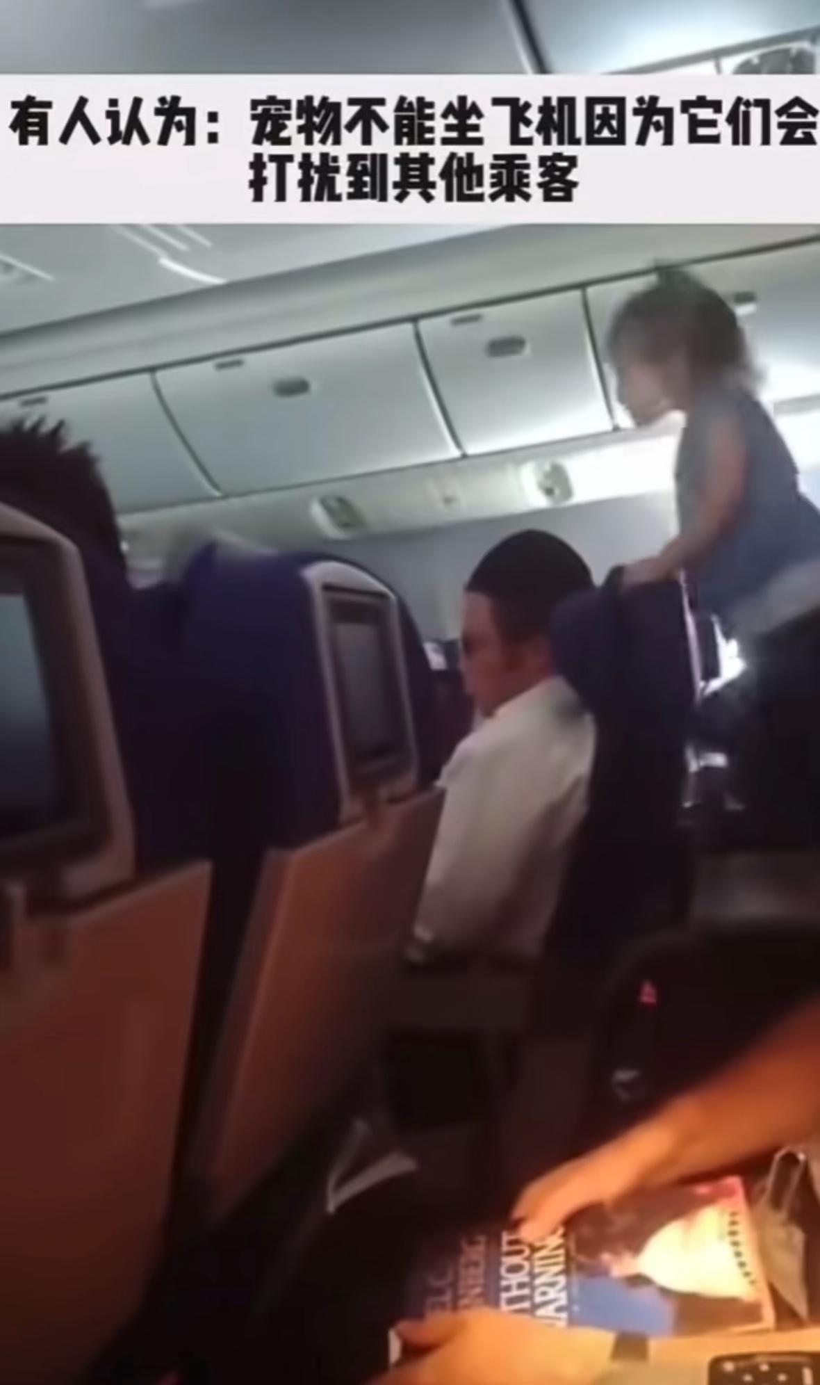 有人认为：宠物不能坐飞机，因为它们会打扰到其他乘客。