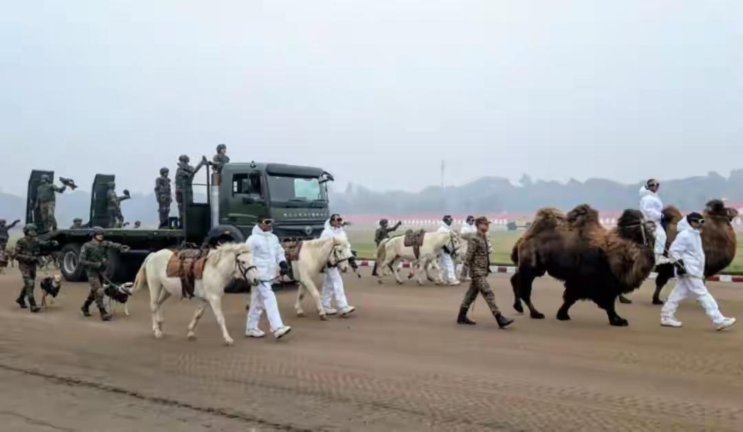 一个国家强不强大，自信不自信，从这个国家阅兵可以看出一二。中国93阅兵与印度这次