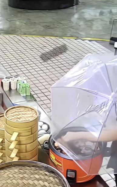 近日，大妈买一个包子，趁机偷三个茶叶蛋，成功得手后开心笑了。结果，被店老板的监控