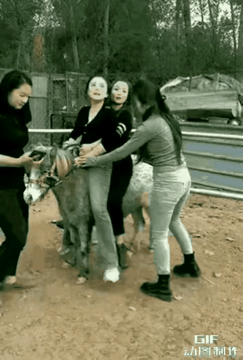 公园里，四个女子邂逅矮马，结果…她们突发奇想，想同骑一匹马。三个美女好不容易