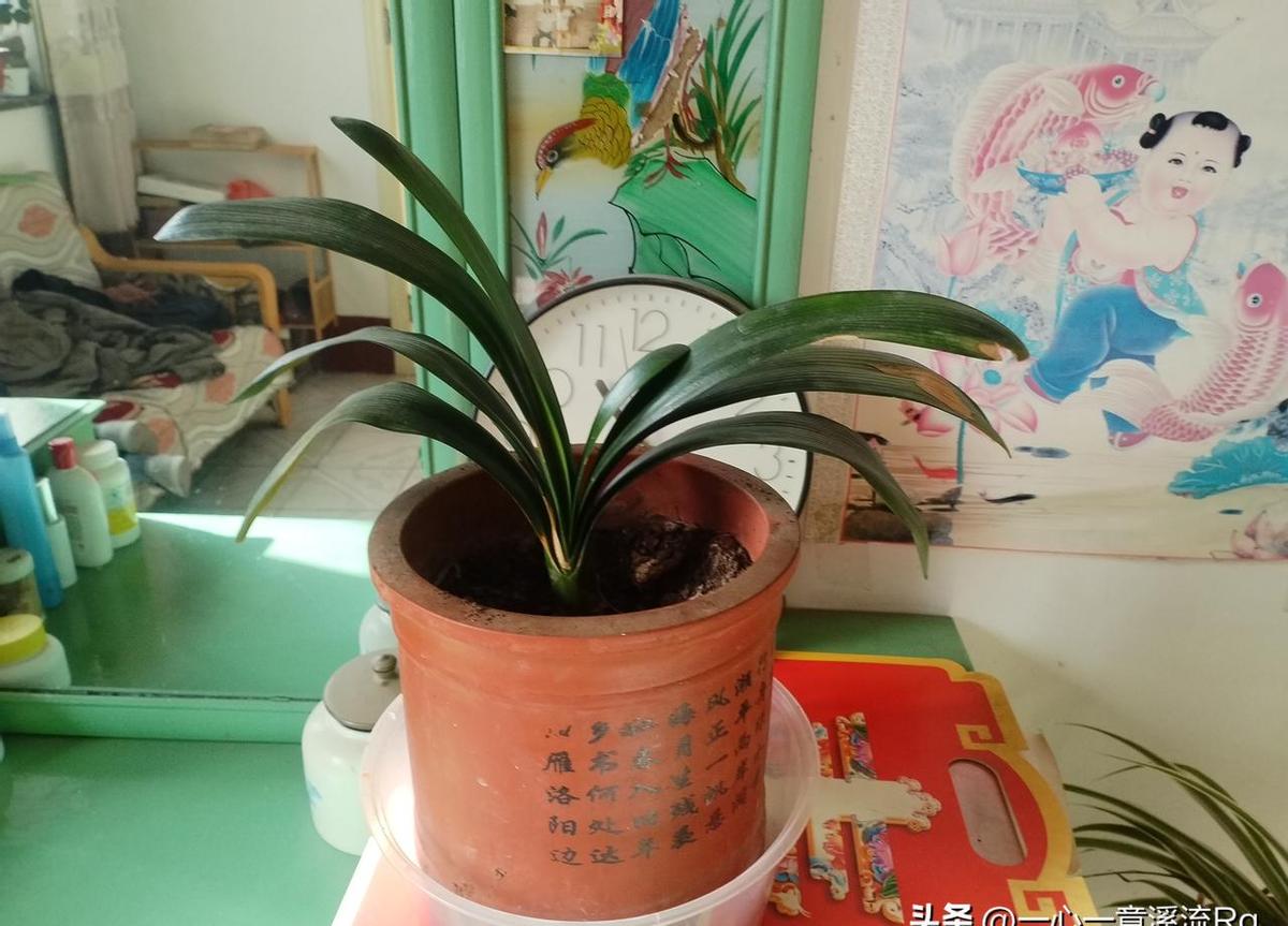 别再指望“养儿防老”了，甚至连以后想挤进养老院，可能都成了奢望！国家卫健委最新