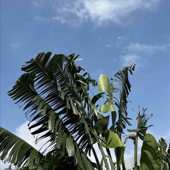 11月10日，一条关于贵阳市原官员的传递当当地。 这条信息是关于高杨的。 