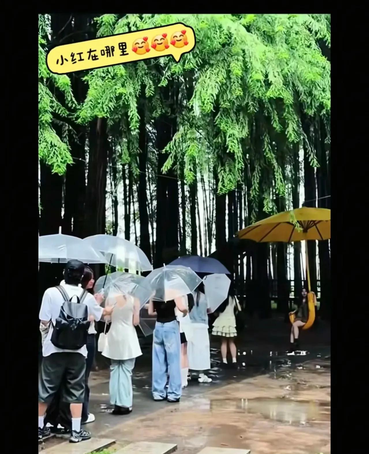 说起来，全红婵前两天在杭州被粉丝偶遇了。那天她撑着把透明伞，穿着长袖长裤，在