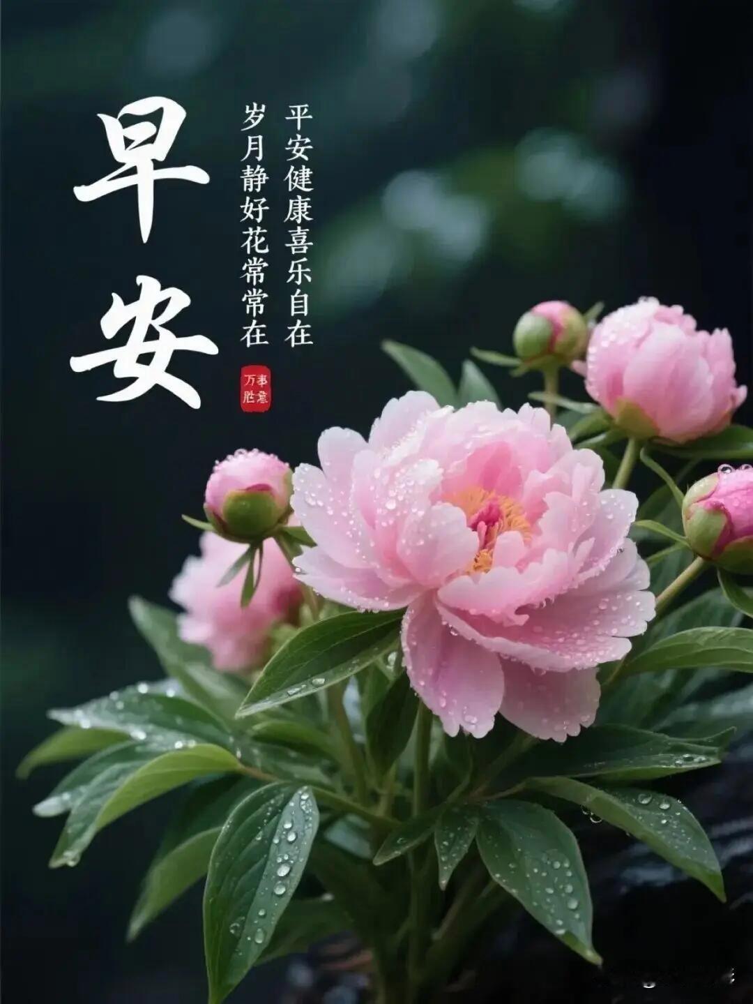 早安｜放下内耗，自有清风奔赴而来清晨的阳光漫过窗棂，吹散昨夜纠结辗转的心事