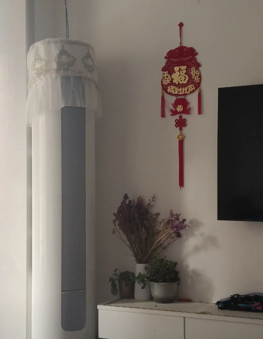 今天38度的高温，差点没给我气死！刚到家，我发现家里很清凉，准备夸奖几句，谁知道