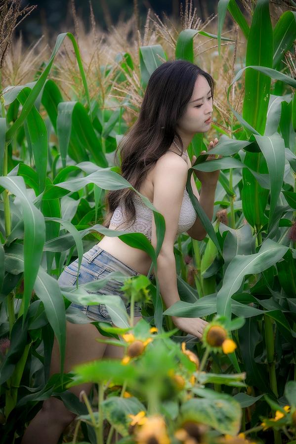 我的今日状态：💰期待暴富我这里的天气：🌤️多云