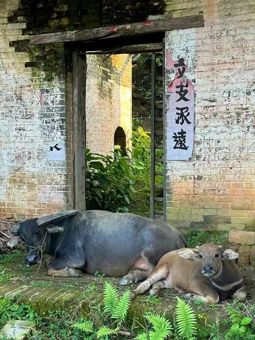 为什么现在的年轻人不相信养儿防老了？因为事实是：养儿根本不可能防老，除非你养的