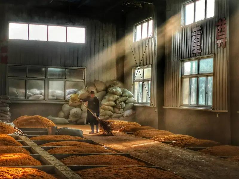 见“读世间名著”上联我心痒痒想对下联有人对“书天下文章”对仗工整颇有意味