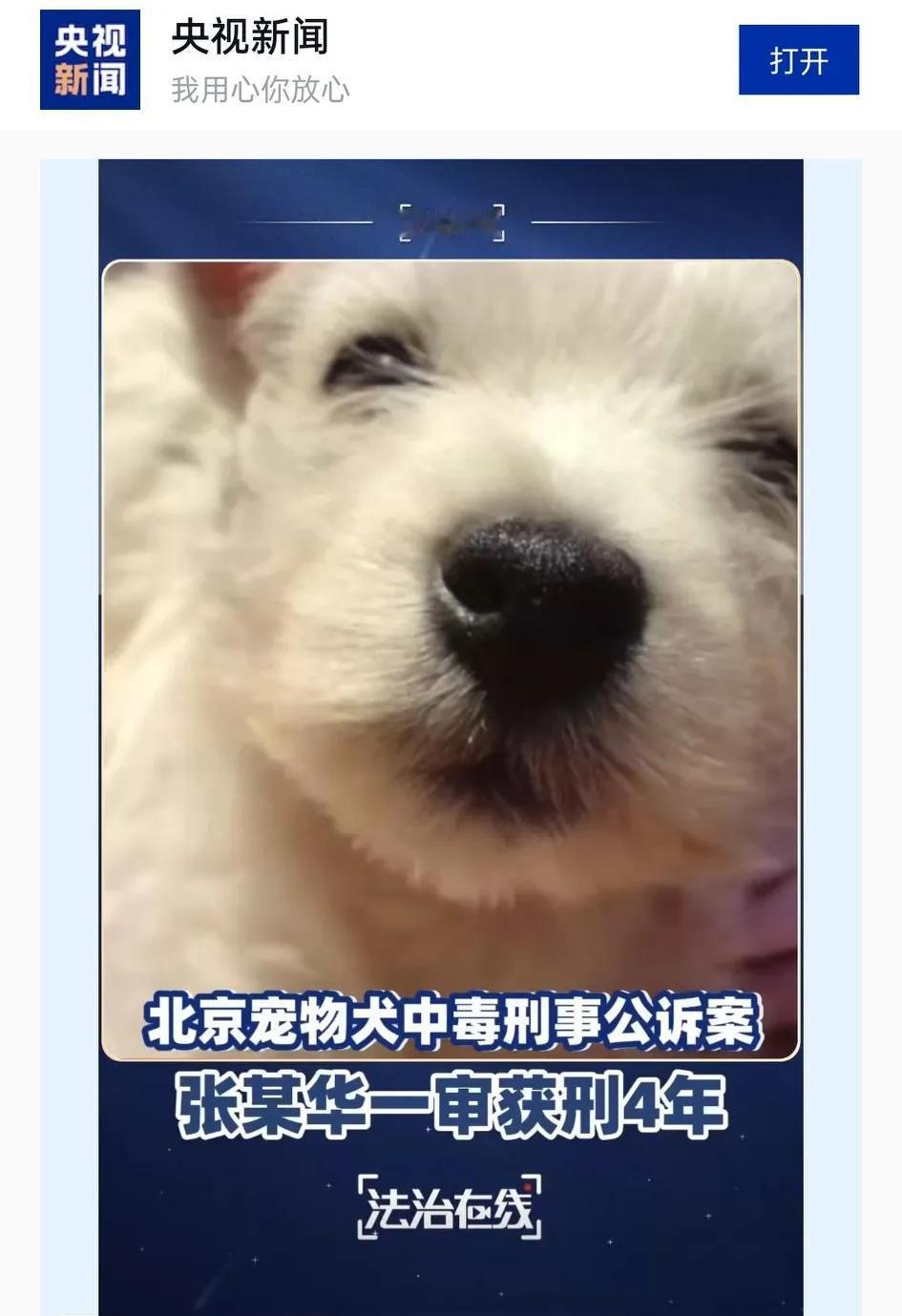 北京毒狗案最大的冤枉很有可能就是这几句话。如果都是牵绳的狗吃了人家头的鼠药的话