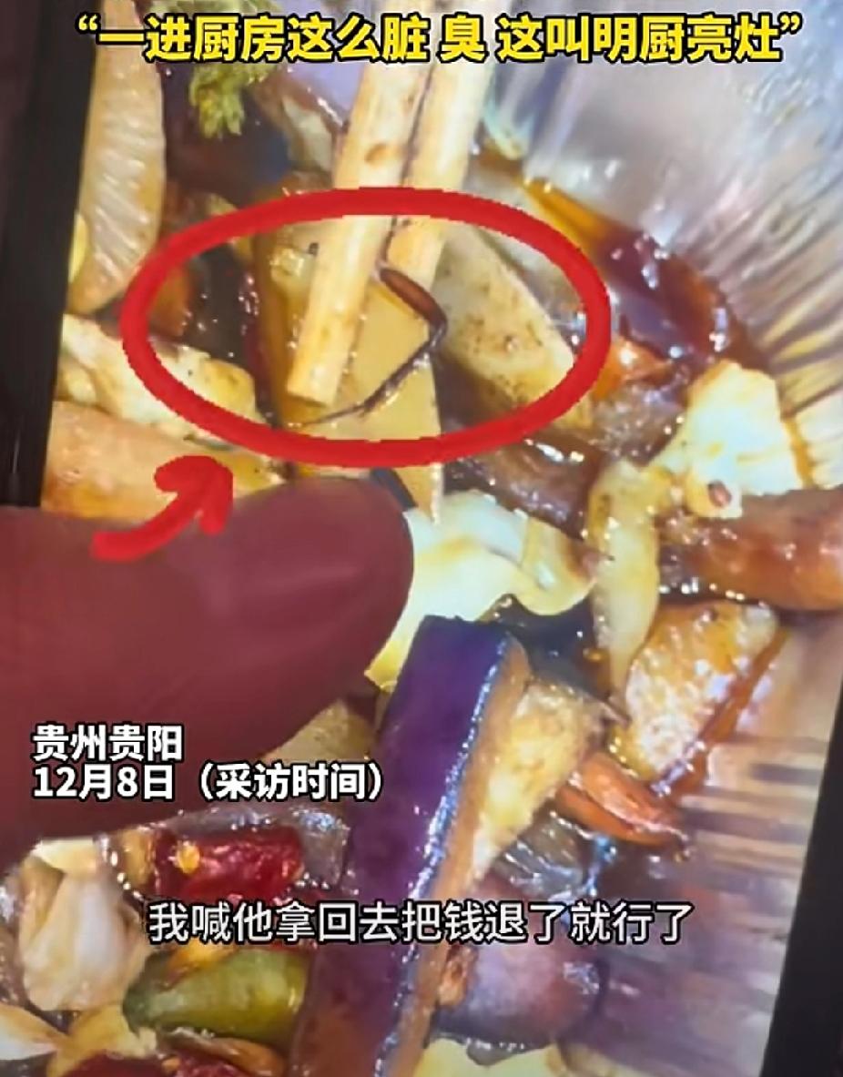男子烤鱼外卖中发现“蟑螂腿”申请退款退货被拒，凌晨两点气不过找商家要说法！商家：