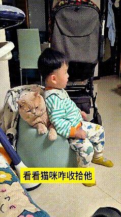 小娃娃和橘猫挤在一个小凳子上看电视，画面本来挺温馨，结果下一秒就开始“互相嫌弃”