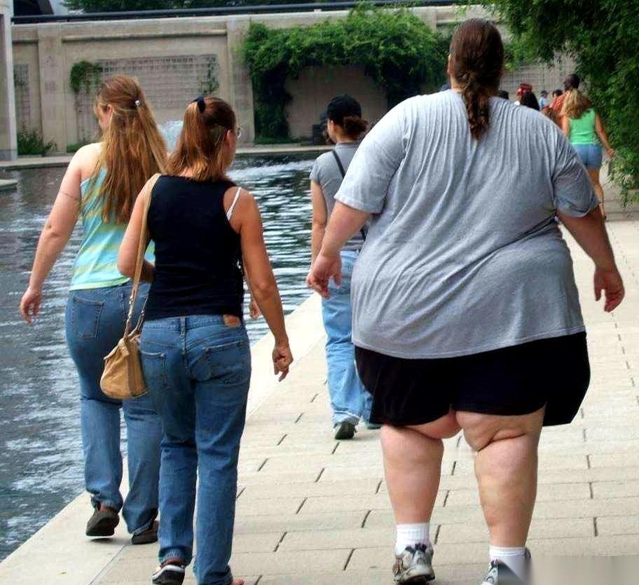 别再扯什么基因、懒馋了。美国人那体型，说白了，就是全球最大规模的“工业饲料”喂