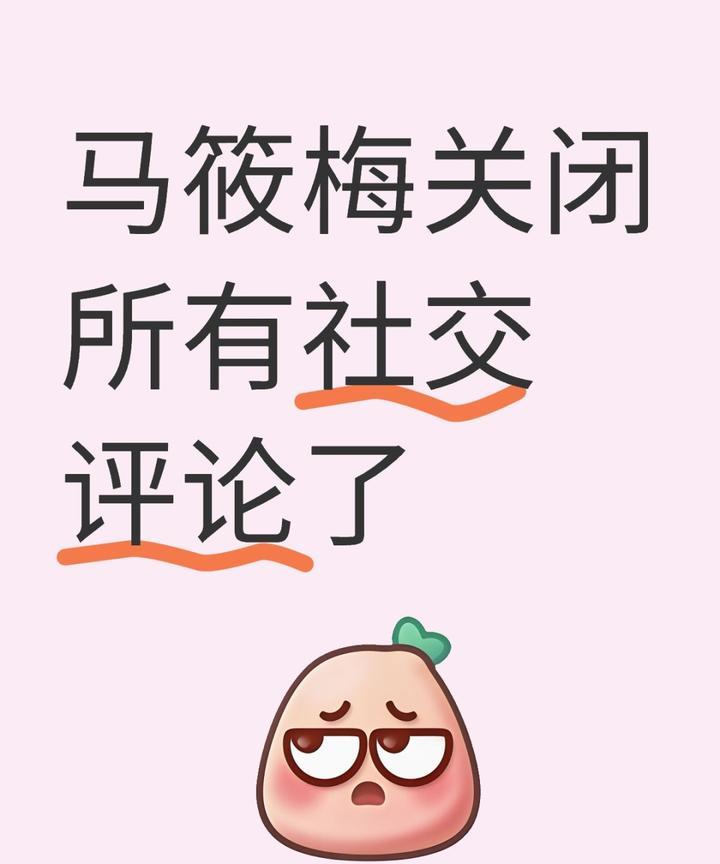马小梅这下尝到被网暴的滋味喽，本可以低调点幸福的，非要天天拍视频处处张显后妈做