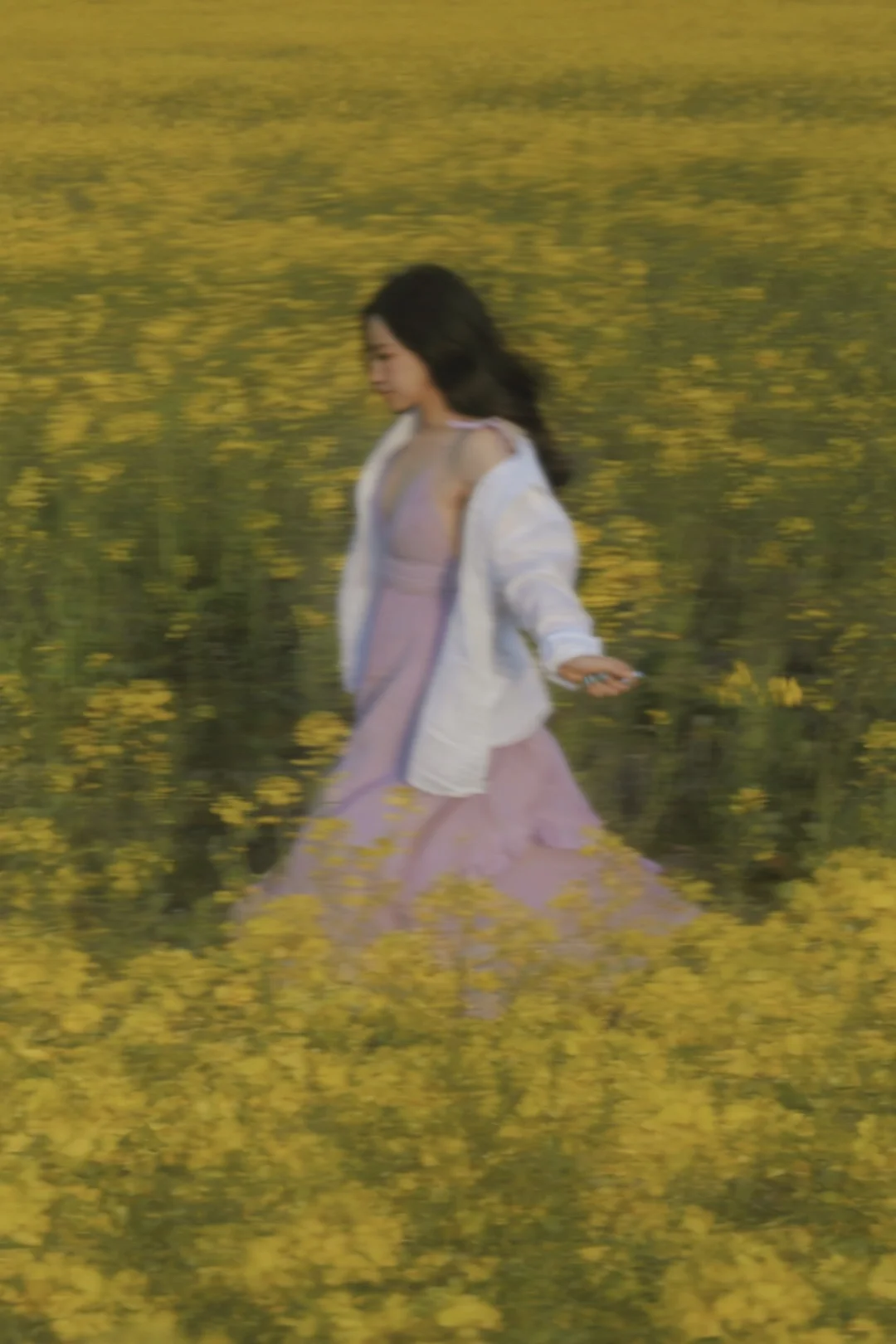 油菜花的季节🌱🌼