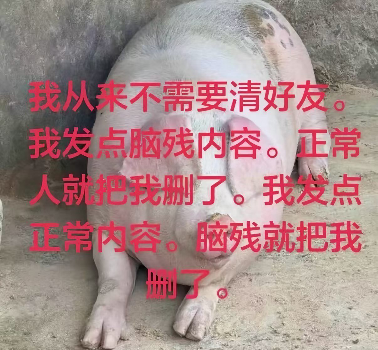 分享图片