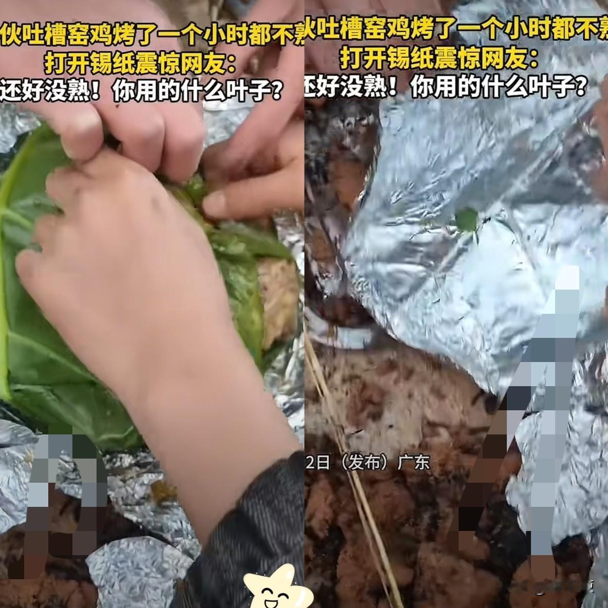 “解释不清了！”广东，俩小伙在山上自制窑鸡，不料，烤了一个小时俩人打开包装发现鸡