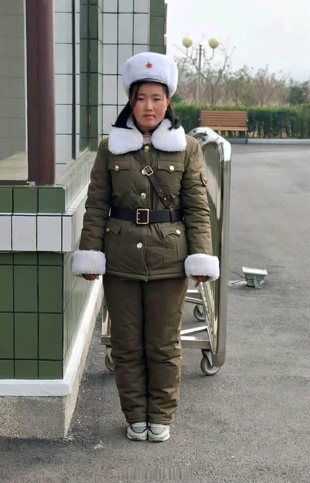 金银圆，她没有微信。公务繁忙，不便交际。