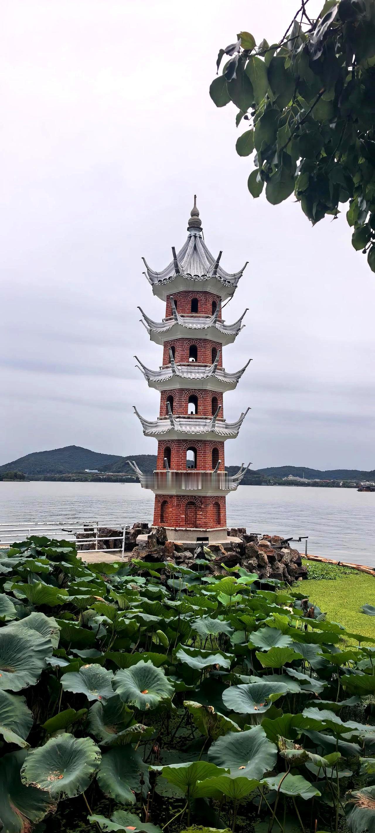 29岁杭州小伙结婚前，悄悄把一套420万的房子公证给了父母。网上有人说他心机重