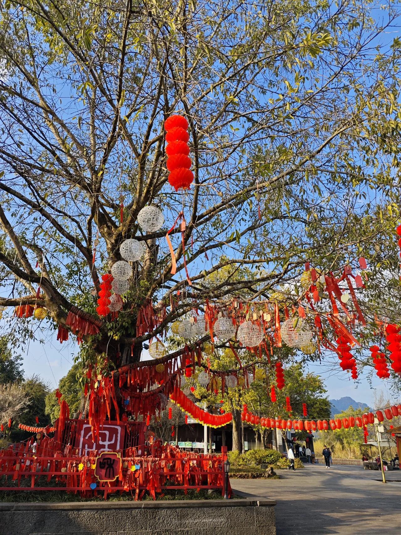 我现在是真真切切的感受到了，我们这些人都已经进入了人生的下半场。我们现在都是六十