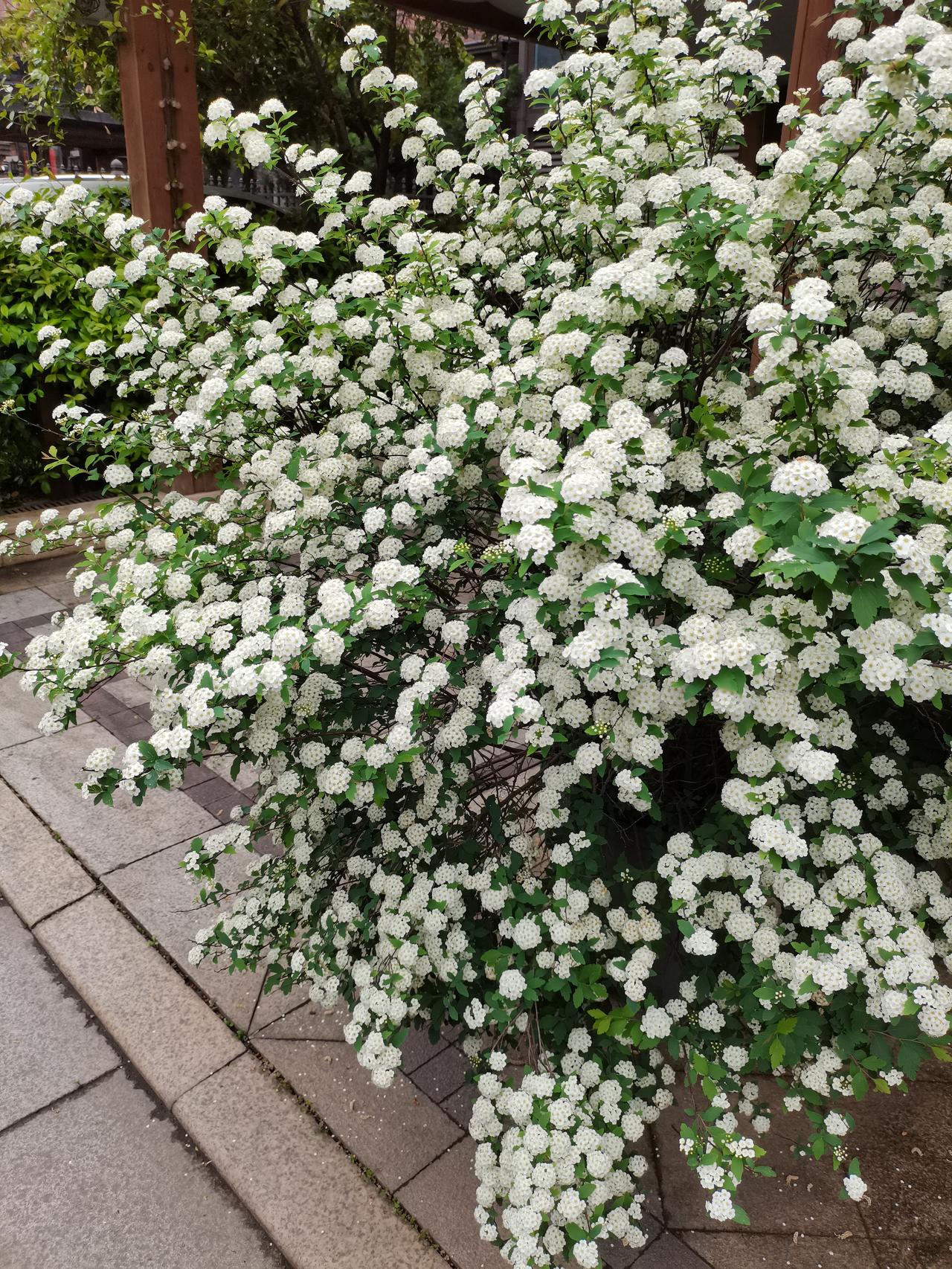 我发现，做会计的都能存到钱。之前在六安认识一个姐妹，比我大两岁，个子也