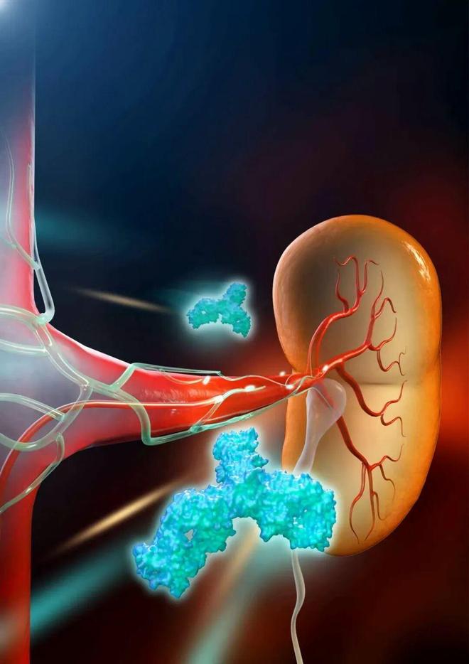 AI+合成免疫学, 复旦团队希望20年内攻克癌症