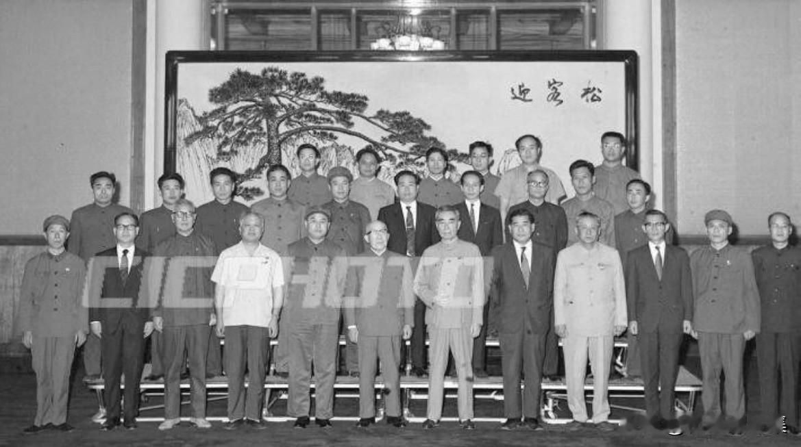 1972年6月14日，周恩来总理在北京人民大会堂亲切接见了以“日中友好旧军人之会