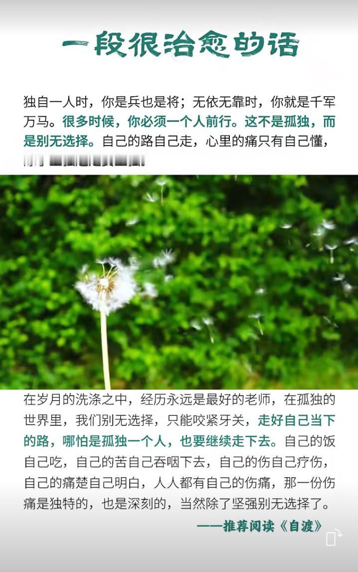 一段很治愈的话：一个人独处时，你是兵也是将；无依无靠时，你就是千军万马！