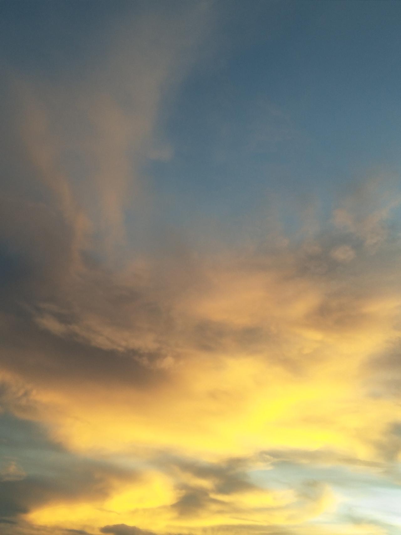 朋友们，有没有什么去除牙垢的小妙招？不知道为什么，我今年牙齿上长了特别多的牙垢