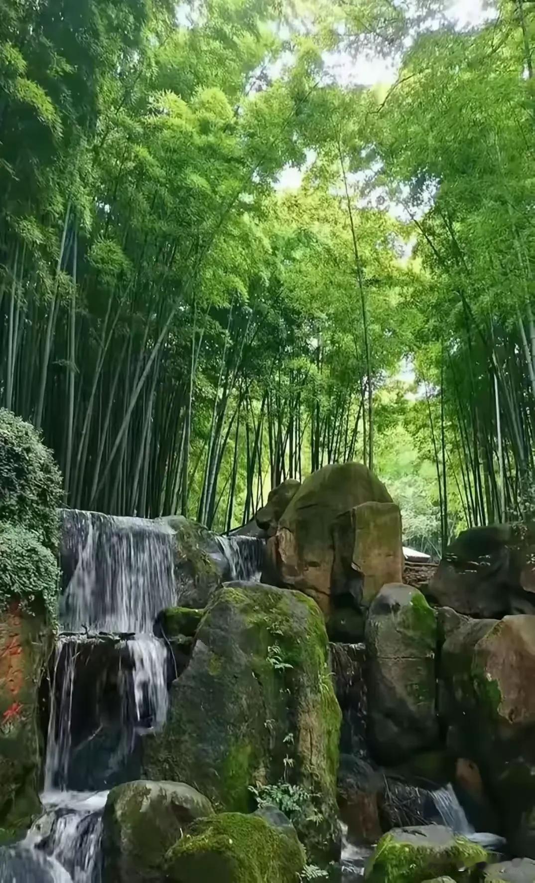 《临江仙·修身悟世》言多常招纷扰，无言方见从容。莫将浮艳世人逢。躁心生
